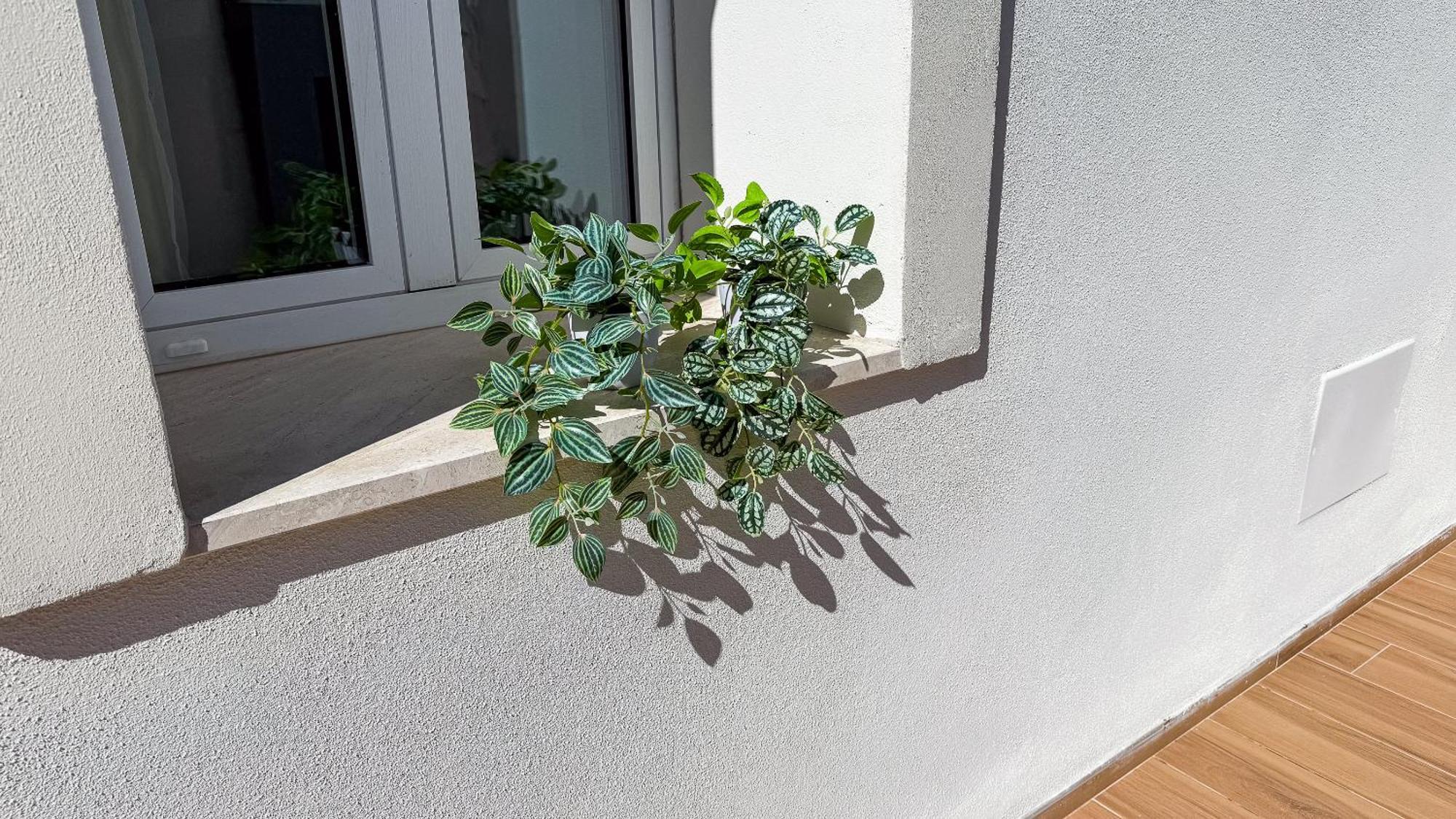 Casa Milly Appartamento Olbia